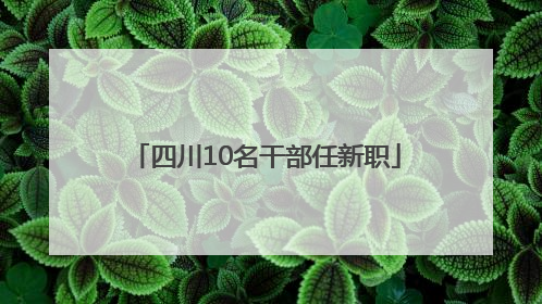 四川10名干部任新职