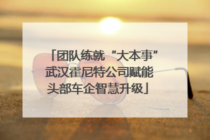 团队练就“大本事” 武汉霍尼特公司赋能头部车企智慧升级