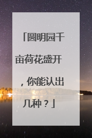圆明园千亩荷花盛开，你能认出几种？