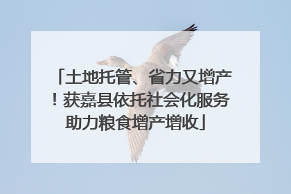 土地托管、省力又增产！获嘉县依托社会化服务助力粮食增产增收