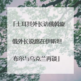 土耳其外长访俄斡旋 俄外长说愿在伊斯坦布尔与乌克兰再谈