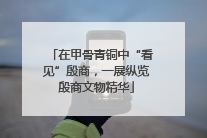在甲骨青铜中“看见”殷商，一展纵览殷商文物精华