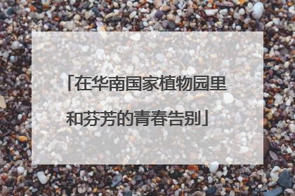 在华南国家植物园里和芬芳的青春告别
