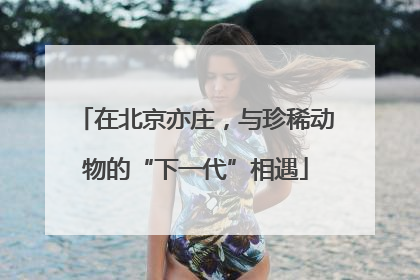 在北京亦庄，与珍稀动物的“下一代”相遇