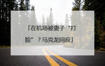 在机场被妻子“打脸”？马克龙回应