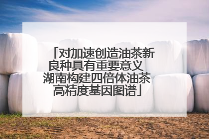 对加速创造油茶新良种具有重要意义 湖南构建四倍体油茶高精度基因图谱