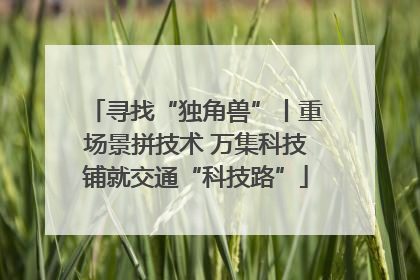 寻找“独角兽”丨重场景拼技术 万集科技铺就交通“科技路”