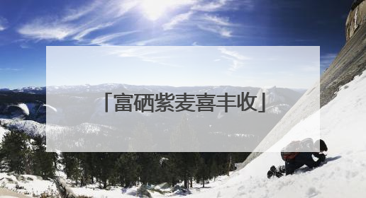 富硒紫麦喜丰收