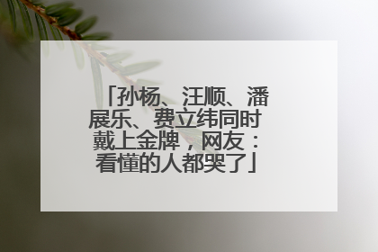 孙杨、汪顺、潘展乐、费立纬同时戴上金牌，网友：看懂的人都哭了