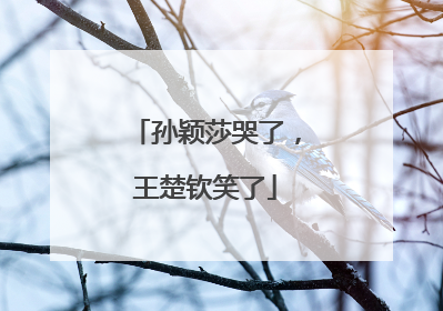 孙颖莎哭了，王楚钦笑了