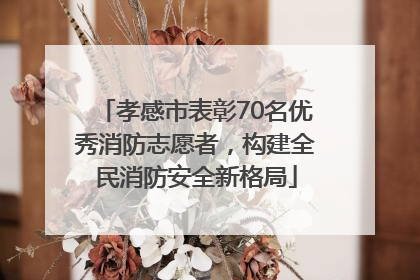 孝感市表彰70名优秀消防志愿者，构建全民消防安全新格局