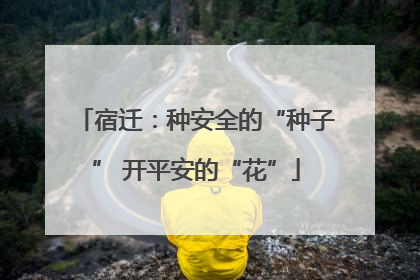 宿迁：种安全的“种子” 开平安的“花”