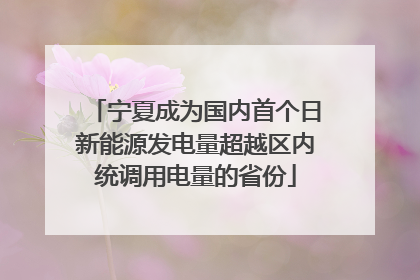 宁夏成为国内首个日新能源发电量超越区内统调用电量的省份