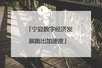 宁夏数字经济发展跑出加速度