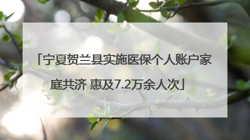 宁夏贺兰县实施医保个人账户家庭共济 惠及7.2万余人次