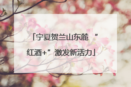 宁夏贺兰山东麓 “红酒+”激发新活力
