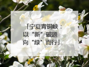 宁夏青铜峡：以“新”破题 向“绿”而行