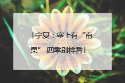 宁夏：塞上有“南果” 四季别样香