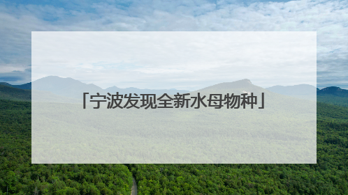 宁波发现全新水母物种