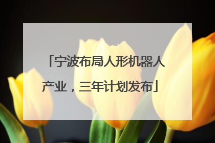 宁波布局人形机器人产业，三年计划发布