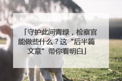 守护此间青绿，检察官能做些什么？这“后半篇文章”带你看明白