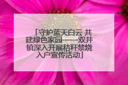 守护蓝天白云 共建绿色家园——双井镇深入开展秸秆禁烧入户宣传活动