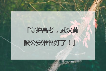 守护高考，武汉黄陂公安准备好了！
