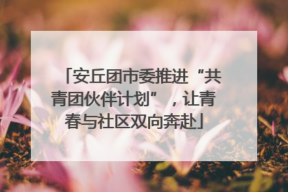 安丘团市委推进“共青团伙伴计划”，让青春与社区双向奔赴