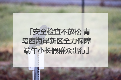 安全检查不放松 青岛西海岸新区全力保障端午小长假群众出行
