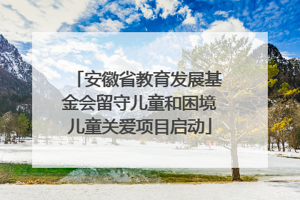 安徽省教育发展基金会留守儿童和困境儿童关爱项目启动