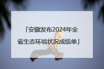 安徽发布2024年全省生态环境状况成绩单