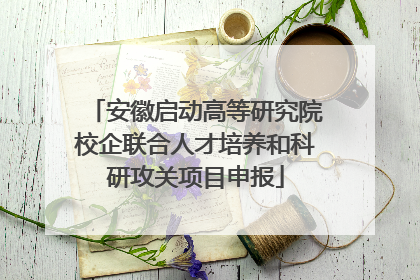 安徽启动高等研究院校企联合人才培养和科研攻关项目申报