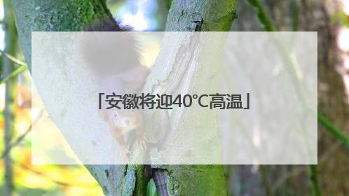 安徽将迎40℃高温