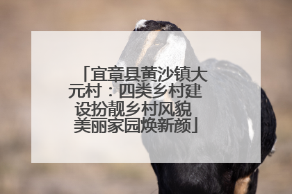宜章县黄沙镇大元村：四类乡村建设扮靓乡村风貌 美丽家园焕新颜