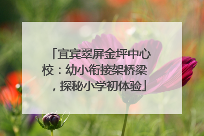 宜宾翠屏金坪中心校：幼小衔接架桥梁，探秘小学初体验