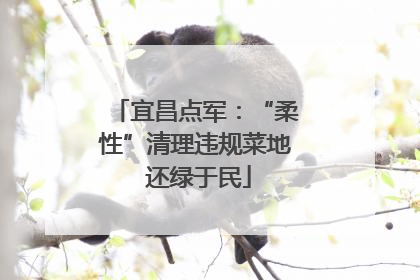 宜昌点军：“柔性”清理违规菜地 还绿于民