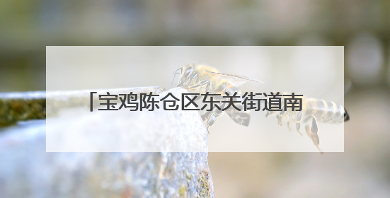 宝鸡陈仓区东关街道南阳村：大棚经济结硕果 绘就乡村振兴新图景