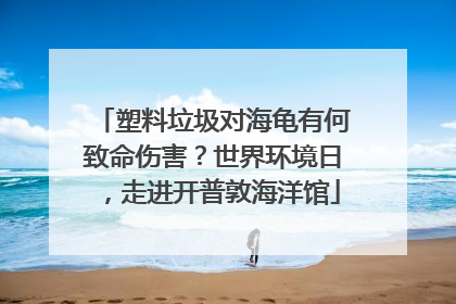 塑料垃圾对海龟有何致命伤害？世界环境日，走进开普敦海洋馆