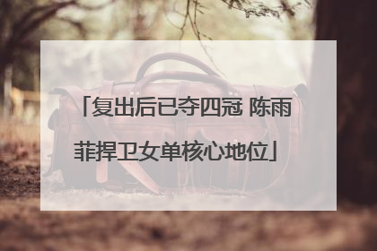 复出后已夺四冠 陈雨菲捍卫女单核心地位