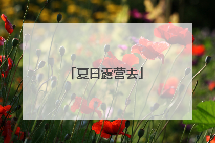 夏日露营去
