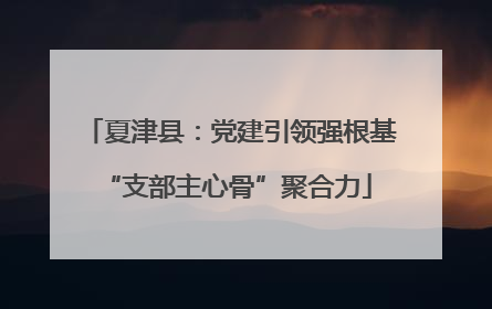 夏津县：党建引领强根基 “支部主心骨”聚合力