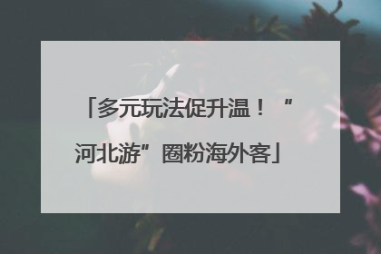 多元玩法促升温！“河北游”圈粉海外客