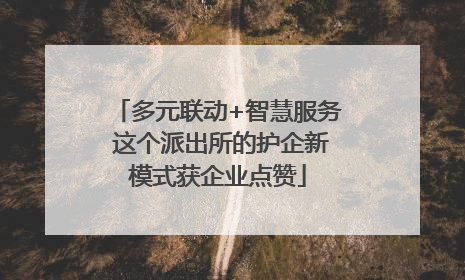 多元联动+智慧服务 这个派出所的护企新模式获企业点赞