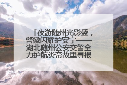 夜游随州光影盛，警徽闪耀护安宁——湖北随州公安交警全力护航炎帝故里寻根节夜游活动侧记