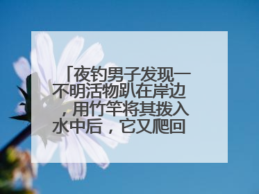 夜钓男子发现一不明活物趴在岸边，用竹竿将其拨入水中后，它又爬回岸边……