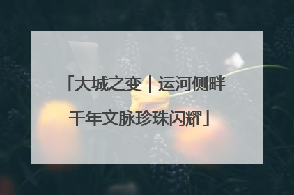 大城之变｜运河侧畔 千年文脉珍珠闪耀