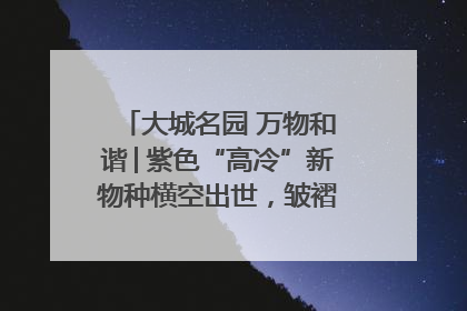 大城名园 万物和谐│紫色“高冷”新物种横空出世，皱褶叶片暗藏进化密码