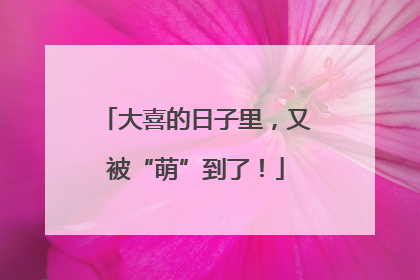 大喜的日子里，又被“萌”到了！