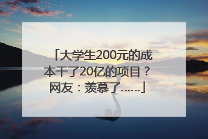 大学生200元的成本干了20亿的项目？网友：羡慕了……