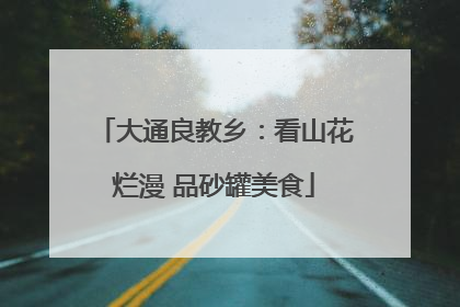 大通良教乡：看山花烂漫 品砂罐美食